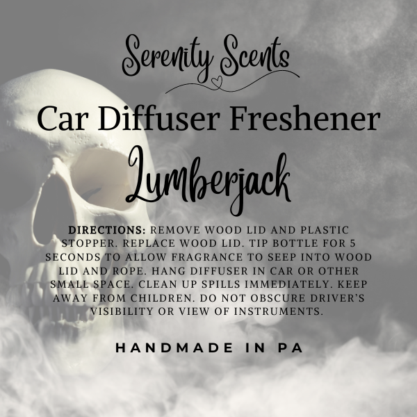 Scented Skull Car Air Freshener Diffuser